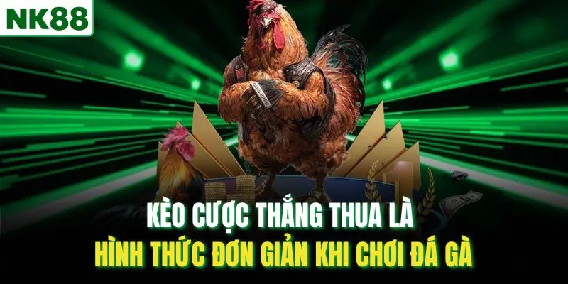 Kèo cược thắng thua là hình thức đơn giản khi chơi đá gà