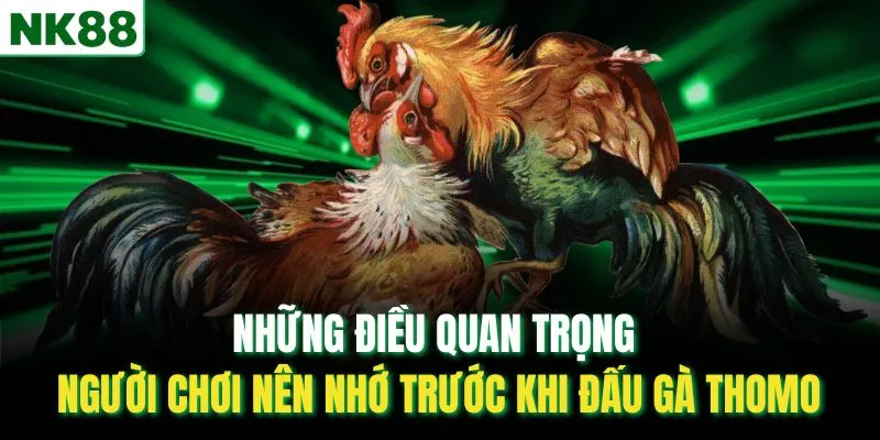 Những điều quan trọng người chơi nên nhớ trước khi đấu gà Thomo